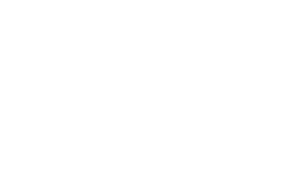 MagnumDent